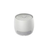 Głośnik HP Bluetooth 360 Srebrny 
