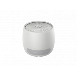 Głośnik HP Bluetooth 360 Srebrny 