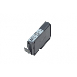 CANON 1042B001 Canon PGI9GR grey Pixma Pro 9500