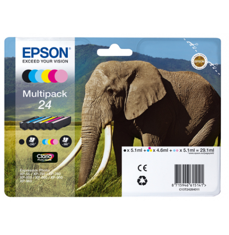 EPSON 24 Ink cartridge black and five colour standard capacity 29.1ml 1-pack RF-AM blister