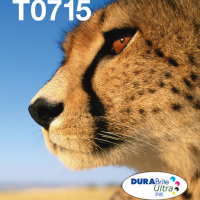 Tusz EPSON EasyMail MP Cheetah-DURABrite Ultra N C M J