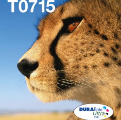 EPSON EasyMail MP Cheetah-DURABrite Ultra N C M J
