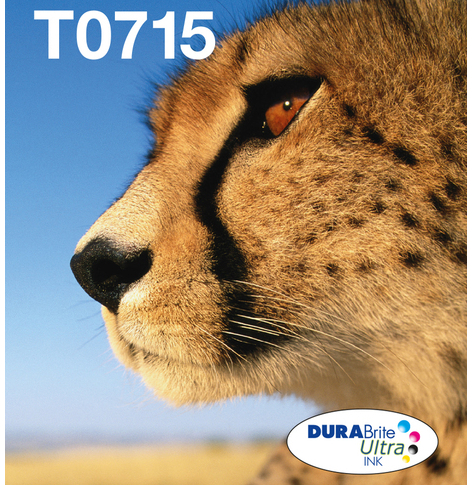 EPSON EasyMail MP Cheetah-DURABrite Ultra N C M J