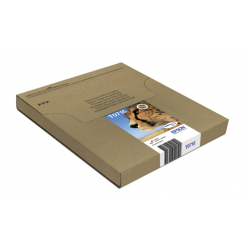 EPSON EasyMail MP Cheetah-DURABrite Ultra N C M J