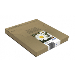 EPSON EasyMail MP Daisy-Claria Home N C M J