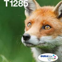 Tusz EPSON EasyMail MP Fox-DURABrite Ultra N C M J