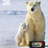 Tusz EPSON EasyMail MP Ours polaire-Claria Premium