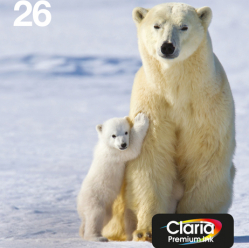 EPSON EasyMail MP Ours polaire-Claria Premium