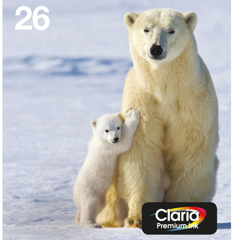 EPSON EasyMail MP Ours polaire-Claria Premium