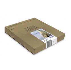 EPSON EasyMail MP Ours polaire-Claria Premium