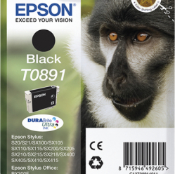 EPSON ink T089 black blister