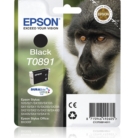 EPSON ink T089 black blister