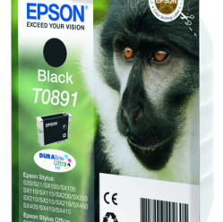 EPSON ink T089 black blister