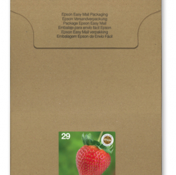 EPSON Multipack 4-Colours 29 EasyMail