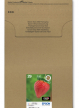 EPSON Multipack 4-Colours 29 EasyMail