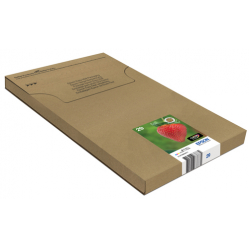 EPSON Multipack 4-Colours 29 EasyMail