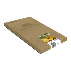 EPSON Multipack 4colours 604 EasyMail Ink Cartridge
