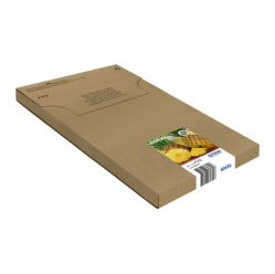 EPSON Multipack 4colours 604XL EasyMail Ink Cartridge