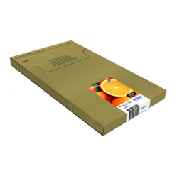 EPSON Multipack 5-colours 33XL Ink Cartridge Easymail