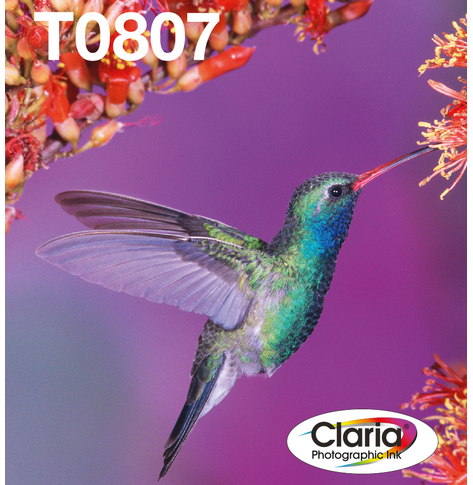 EPSON Multipack 6-colours T0807 Claria Photographic Ink Easy Mail Pack