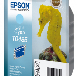 EPSON T048 LIGHT CYAN BR FOR R300