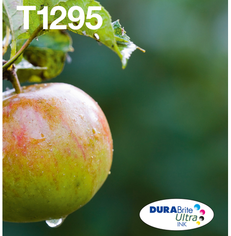 EPSON T129 Durabrite Ultra Ink EasyMail multipack