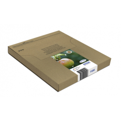 EPSON T129 Durabrite Ultra Ink EasyMail multipack