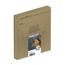 EPSON T1306 Multipack 3-colours EasyMail