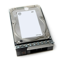 Dysk DELL 12TB 7.2K RPM NLSAS ISE 12Gbps 512e 3.5 Hot-plug Hard Drive CK