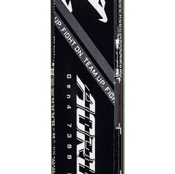 Dysk GIGABYTE AORUS Gen4 7300 SSD 1TB