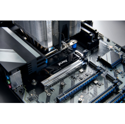 Dysk KINGSTON FURY Renegade G5 1024GB PCIe 5.0 M.2 NVMe SSD