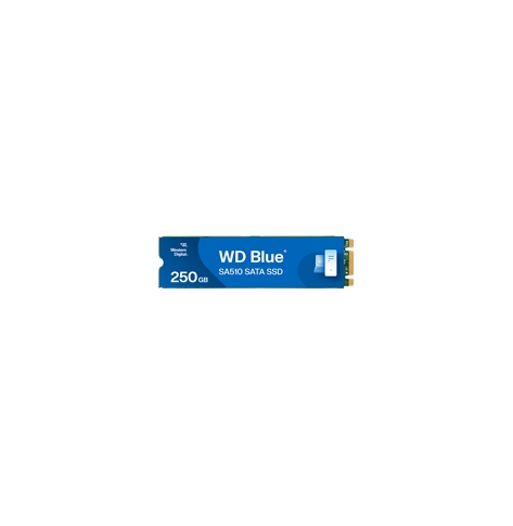 WD Blue SA510 SSD 1TB M.2 2280 SATA III 6Gb/s internal single-packed