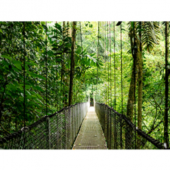 Laptop HP EliteBook 6 G1i 16 A 16 WUXGA Ultra 7-265U 24GB 512GB W11P 3YW