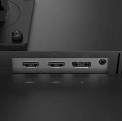 LENOVO Legion 24-10 24 IPS HDMI DP