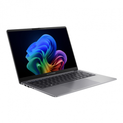 Asus ExpertBook P5405CSA-NZ0895W 14 WQXGA Ultra 7 258V 32GB  1TB  W11 Misty Grey 3Y