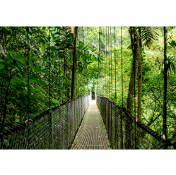 Laptop HP EliteBook 6 G1a 14 WUXGA Ryzen AI 5 340 16GB 512GB W11P 3y