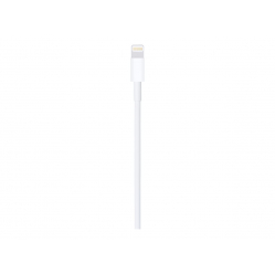 Kabel APPLE Lightning to USB 1m