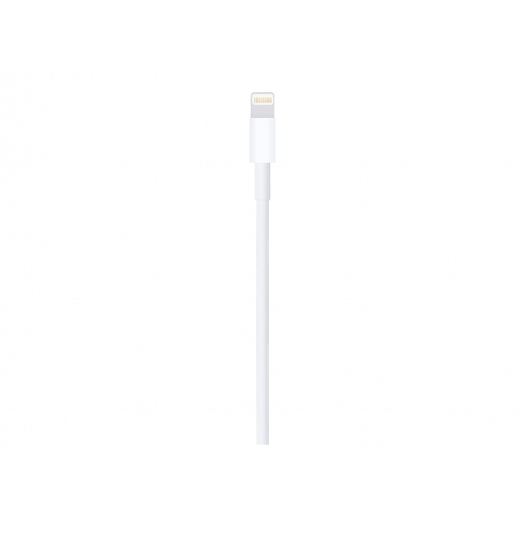 Kabel APPLE Lightning to USB 1m