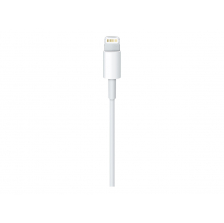 Kabel APPLE Lightning to USB 2m