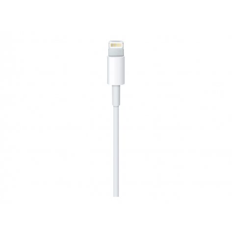 Kabel APPLE Lightning to USB 2m