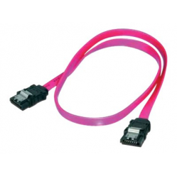ASM AK-400100-005-R ASSMANN Serial ATA Typ SATA (7pin)/SATA (7pin) z/z czerwony 0,5m