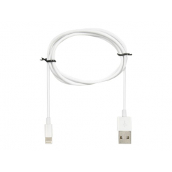Kabel IBOX L10 Lightning 1m 2A