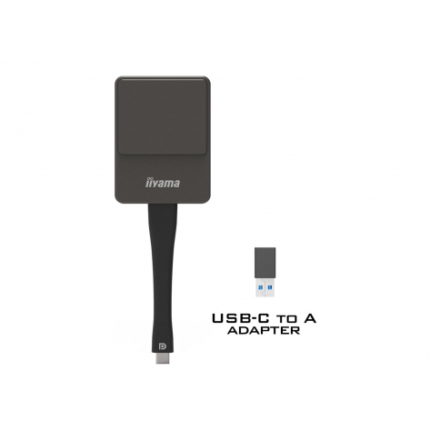 IIYAMA WP D002C E-Share USB-C DP-Alt Adapter sieciowy przesyłania mediów