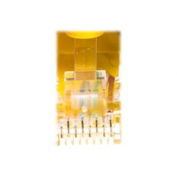 Kabel NETRACK BZPAT3UY krosowy RJ45, oslonka zalewana, kat. 5e UTP, 3m żółty