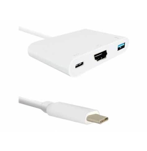 Kabel QOLTEC 50425 Adapter USB-C 3.1 m 