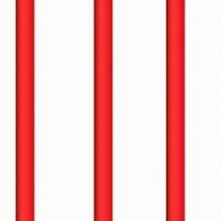 Kabel GEMBIRD RJ45 cat. 6A SFTP LSZH 10m czerwony