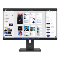 Monitor Lenovo ThinkVision T32ud-40 31.5 IPS 4K Camera Hub