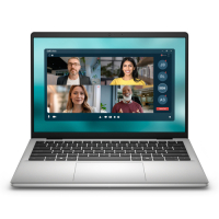 Laptop DELL 14 DC14250 14 FHD Core 3-100U 8GB 512GB SSD BK W11H 2YBWOS Platinum Silver Plastic