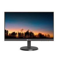 Monitor AG NEOVO 21 5 cala LW-2203 HDMI VGA 100Hz