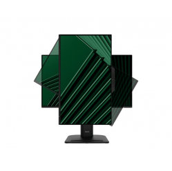 MSI Monitor 23.8 cala PRO MP242PMG LED/FHD/Flat/120Hz/czarny